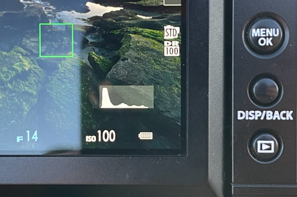 Using the Histogram in Live View to monitor the exposure for the scene